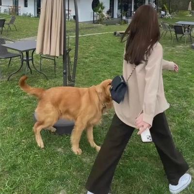 狄仁杰之通天谜案